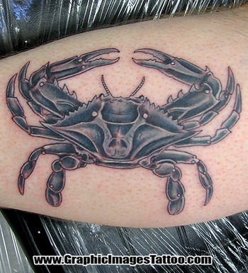Amazing Grey Crab Tattoo On Leg