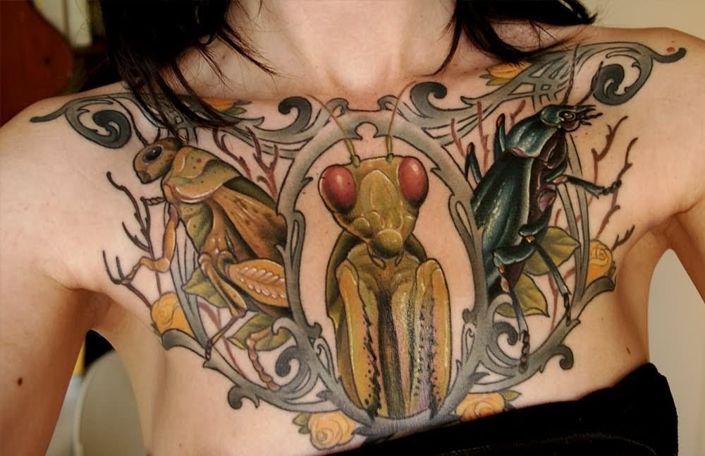 Awesome Insect In Frame Tattoo On Girl Chest