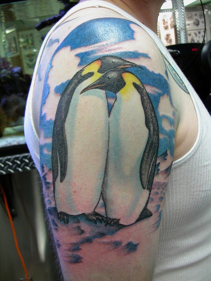 Beautiful Two Penguin Tattoos On Right Half Sleeve