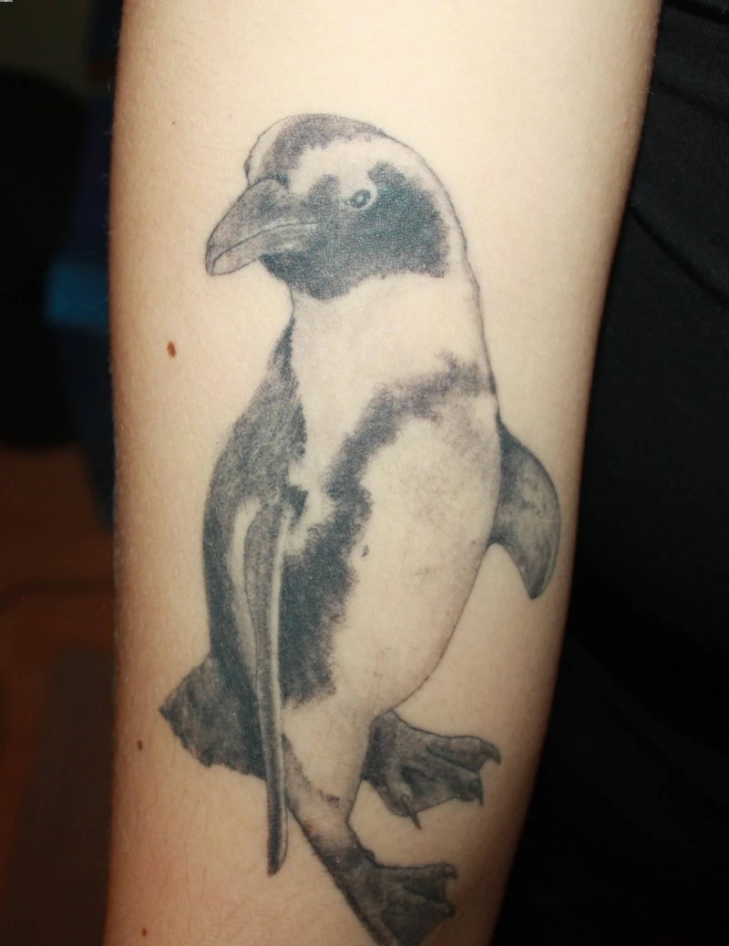 Black And Grey Ink Penguin Tattoo
