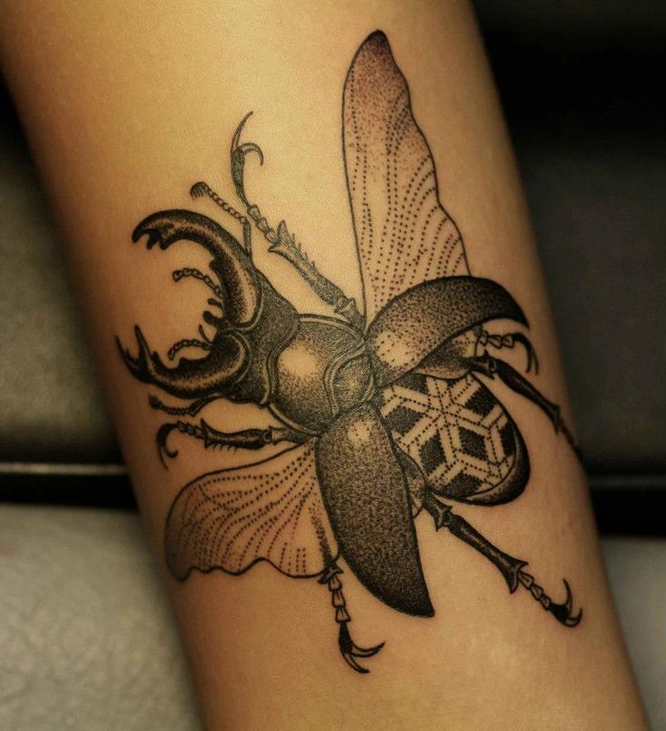 Black Dotwork Insect Tattoo Design For Forearm
