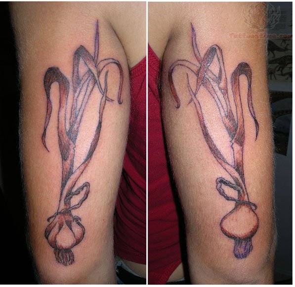 Black Ink Garlic Tattoo On Half Sleeve