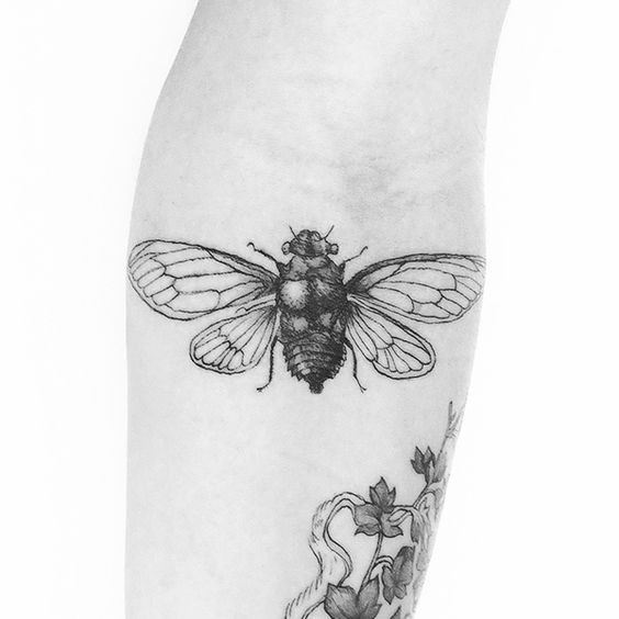 Black Ink Insect Tattoo Design For Arm