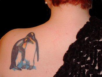 Colorful Penguin Tattoo On Left Back Shoulder