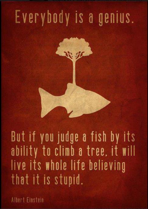 Everybody is a genius. But if you judge a fish by its ability to climb a tree, it will live its whole life believing that it is stupid