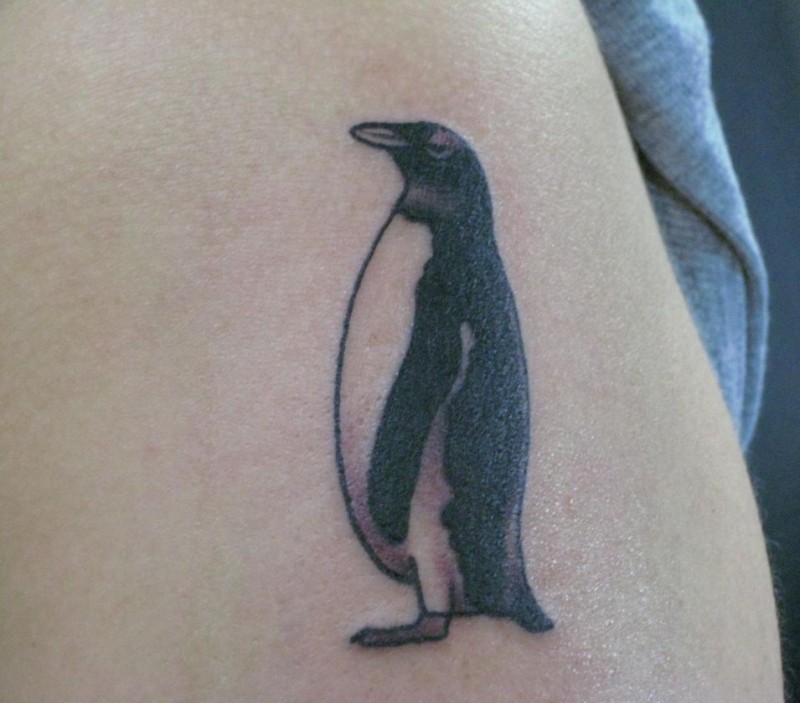 Grey And Black Penguin Tattoo
