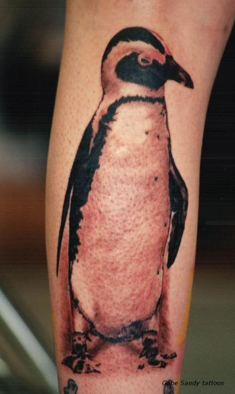 Nice Black And Grey Penguin Tattoo On Leg