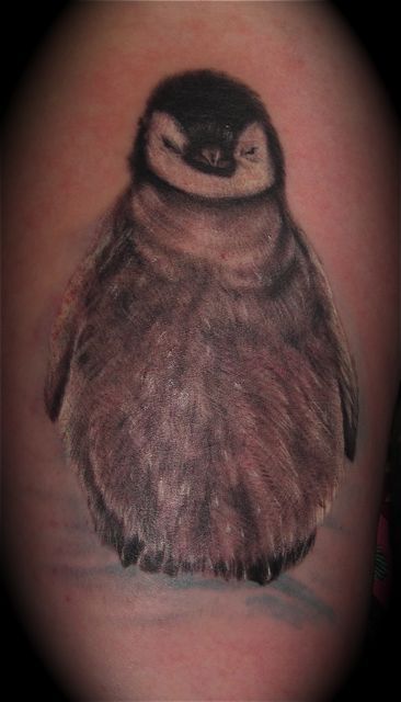 Penguin Tattoo by Phil Colvin