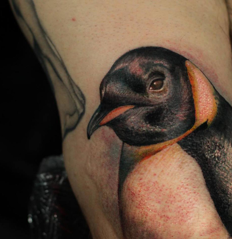 Realistic Color Penguin Tattoo On Arm