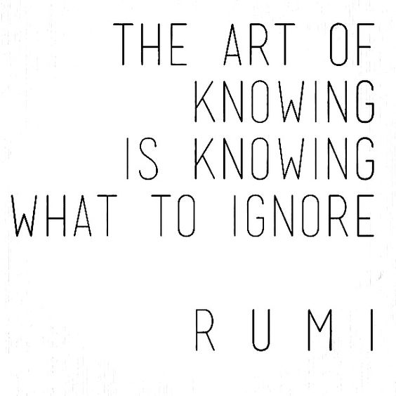 The art of knowing is knowing what to ignore.   - Rumi