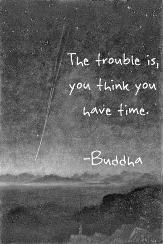 The trouble is, you think you have time. - Buddha