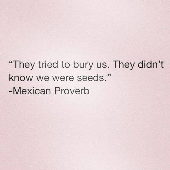 They tried to bury us. They didn't know we were seeds.   - Mexican Proverb