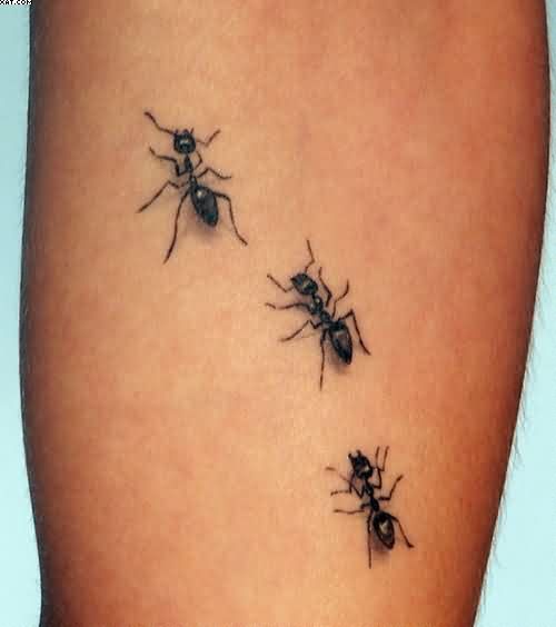 Three Little Insects Tattoo Design For Arm