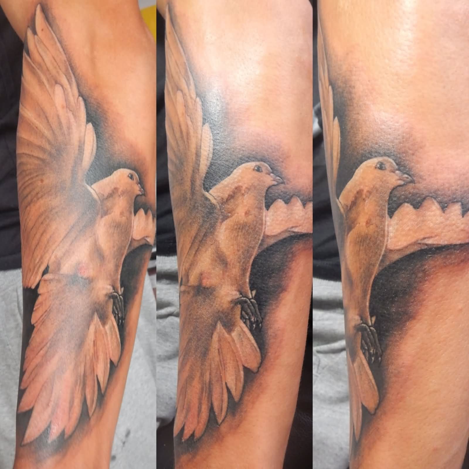 3D Flying Pigeon Tattoo Design For Sleeve