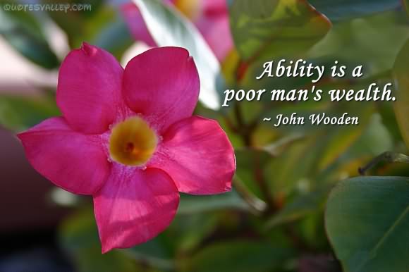 Ability Is A Poor Man's Wealth  - John Wooden