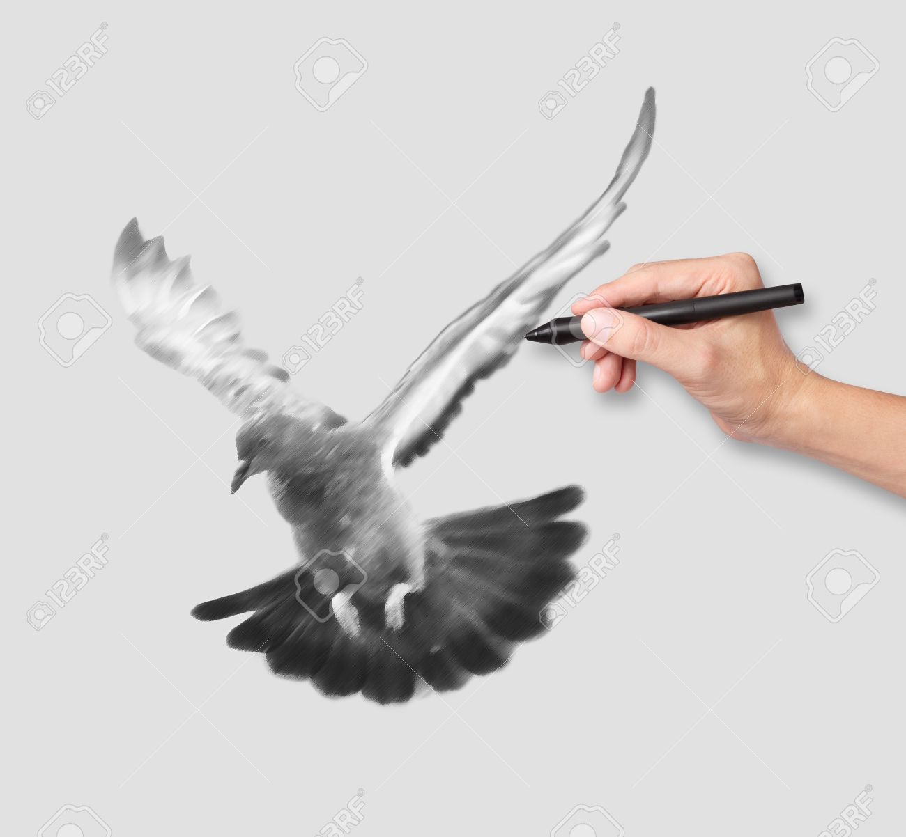 Amazing Black And Grey Flying Pigeon Tattoo Design