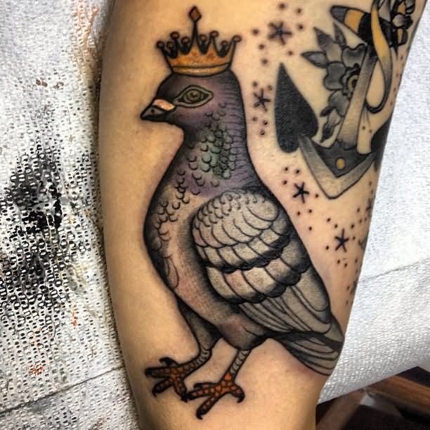 Amazing Crown On Pigeon Head Tattoo Design