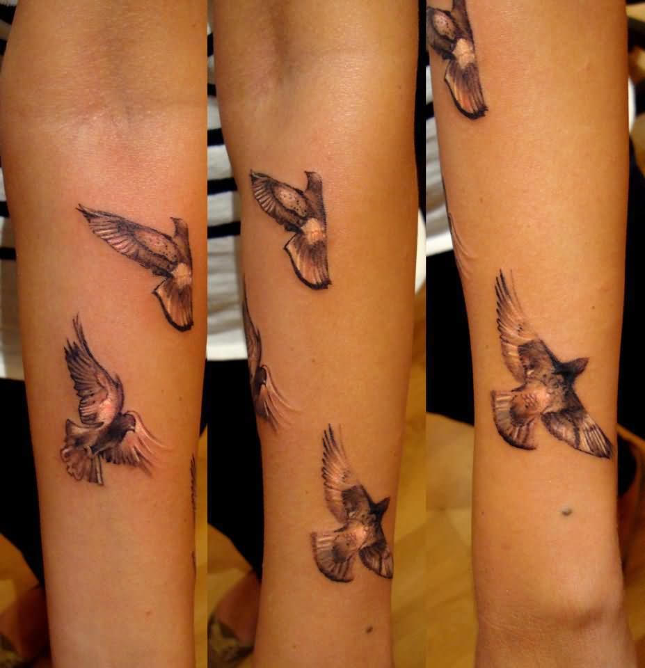 Amazing Flying Pigeons Tattoo Design For Arm