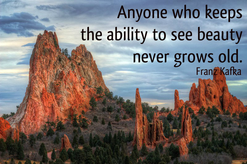 Anyone Who Keeps The Ability To See Beauty Never Grows Old.