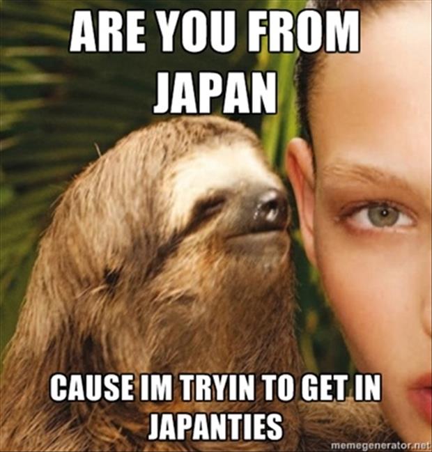 Are You From Japan Cause I Am Tryin To Get In Japanties Funny Animal Meme Image