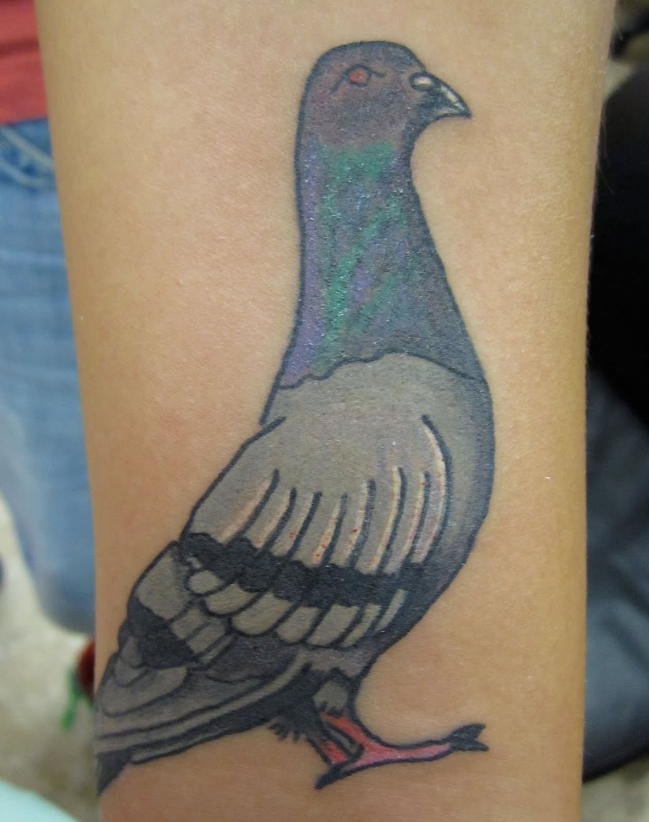 Attractive Pigeon Tattoo On Forearm