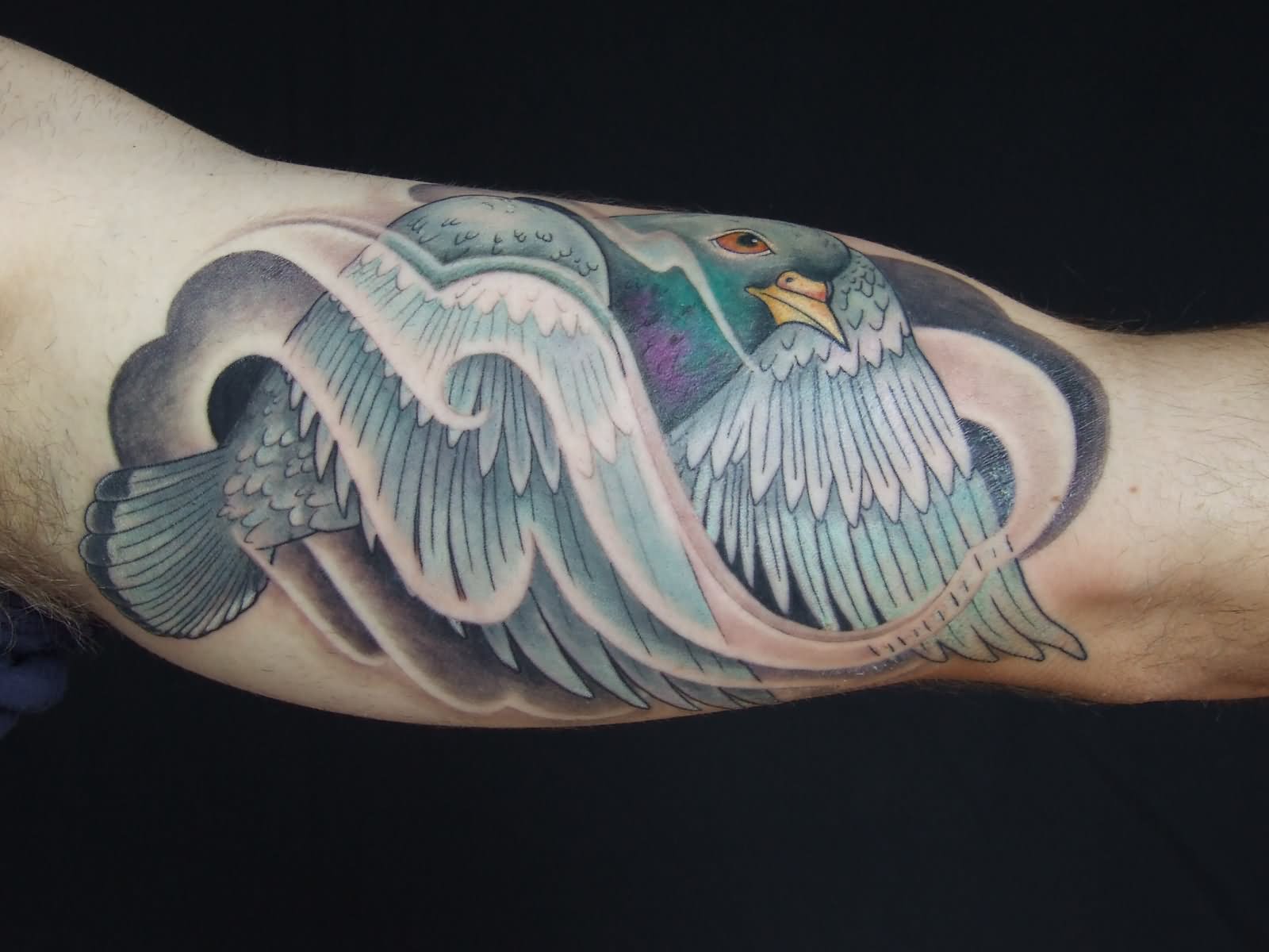 Awesome Pigeon Tattoo Design For Bicep