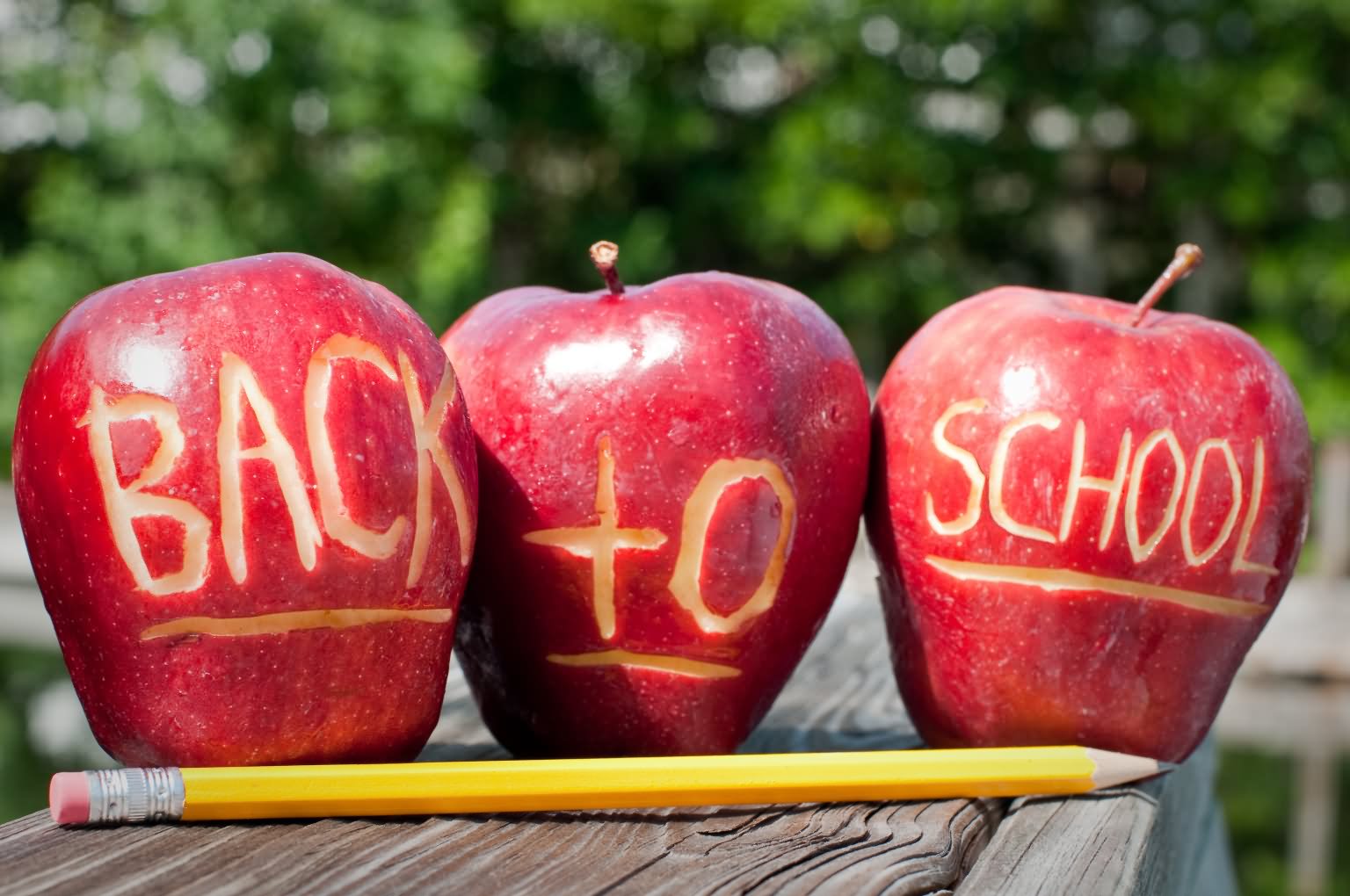 30 Beautiful Back To School Pictures And Images