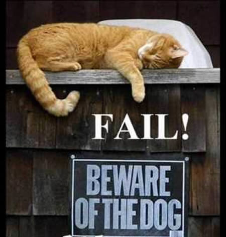 Beware Of The Dog Funny Fail Picture