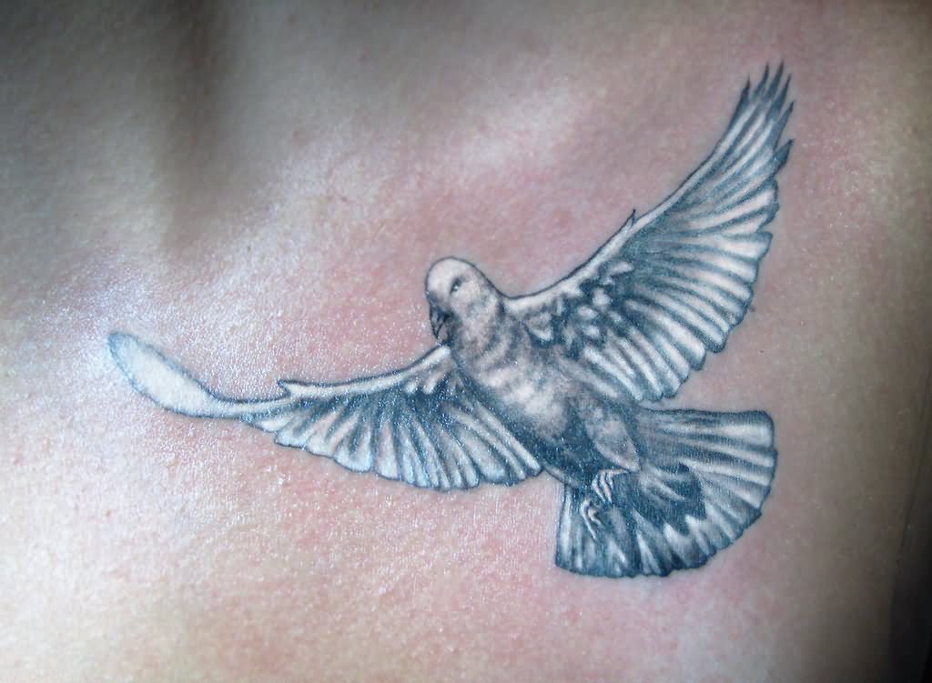 Black And White Flying Pigeon Tattoo Design By Nick Fox