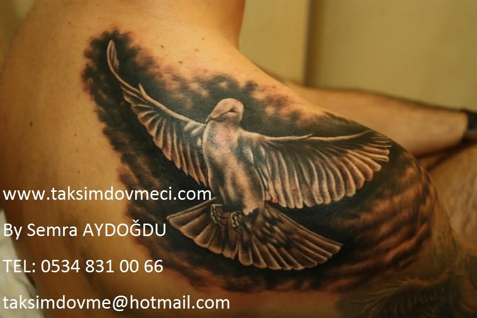 Black Ink Flying Pigeon Tattoo On Right Back Shoulder