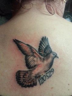 Black Ink Flying Pigeon Tattoo On Upper Back