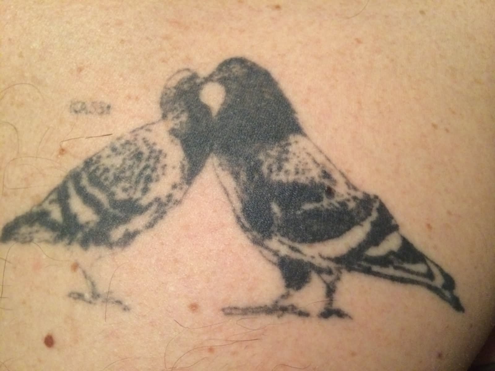 Black Ink Two Pigeon Tattoo Design