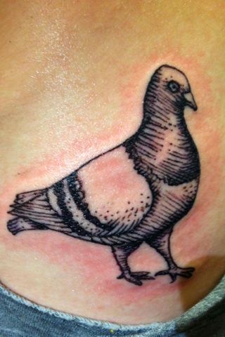 Black Pigeon Tattoo Design For Waist