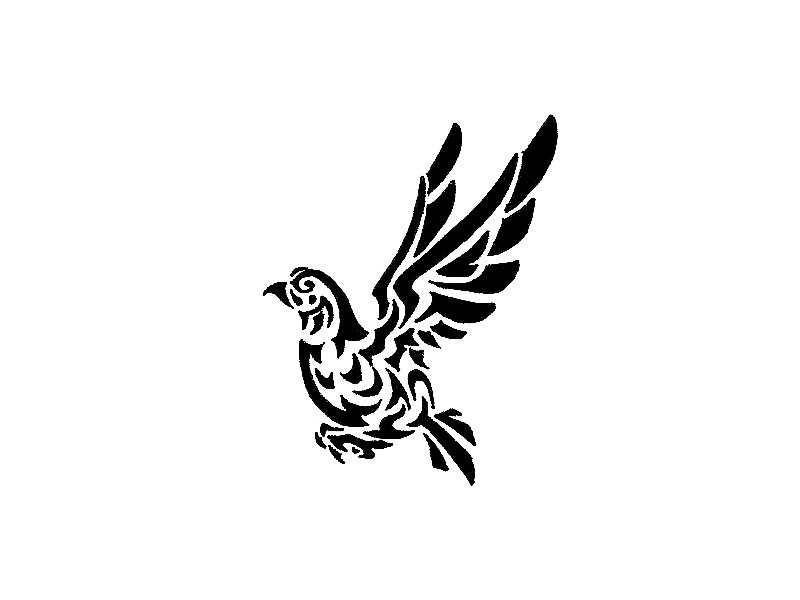 Black Tribal Flying Pigeon Tattoo Stencil