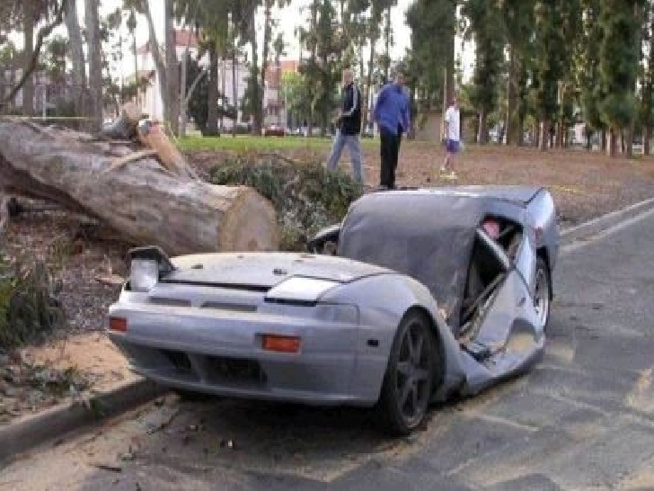 Car Crash With Tree Funny Picture