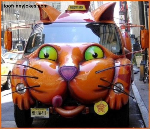 Cat Face Funny Looking Car Picture