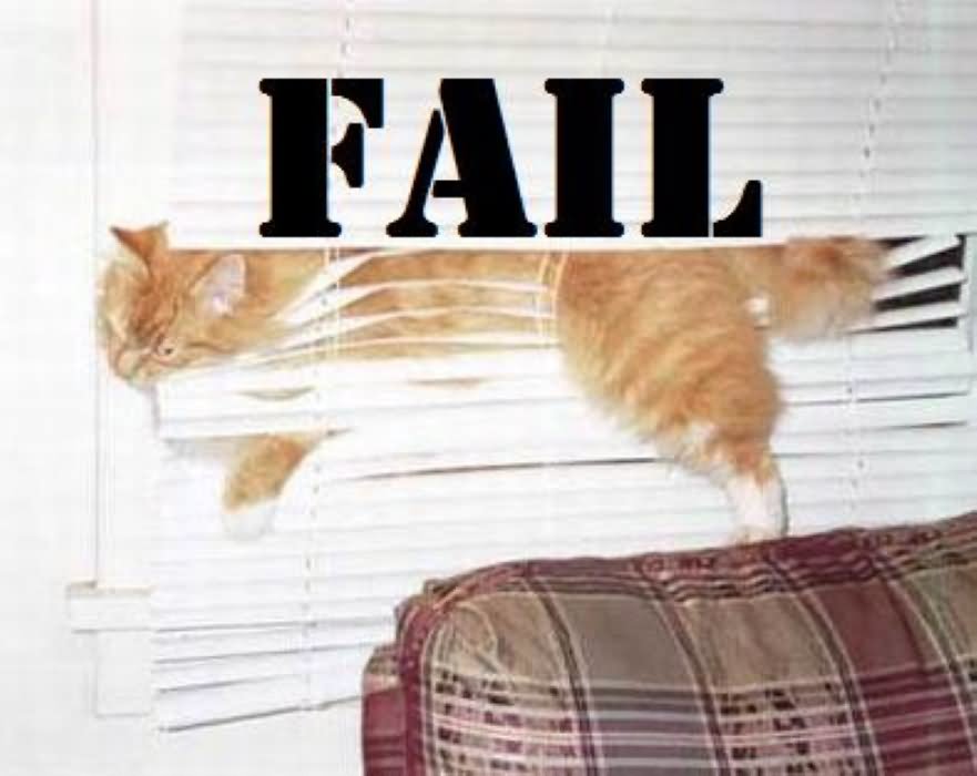 Cat Stuck In Window Funny Fail Picture