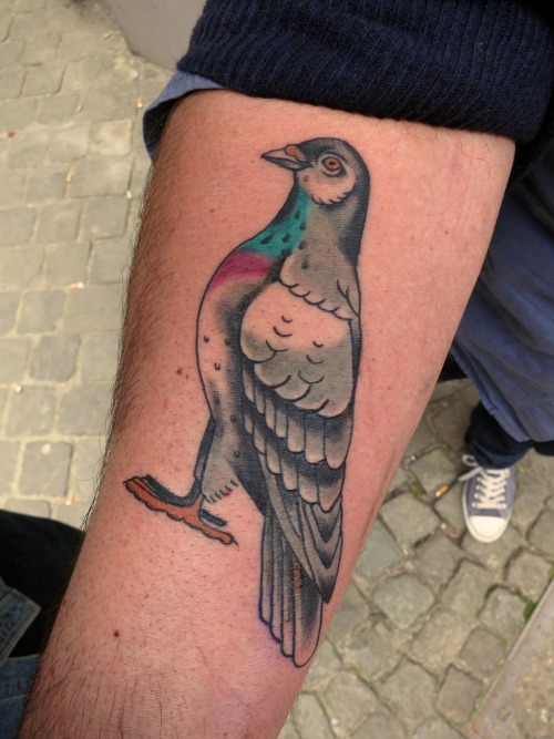 Classic Pigeon Tattoo Design For Forearm
