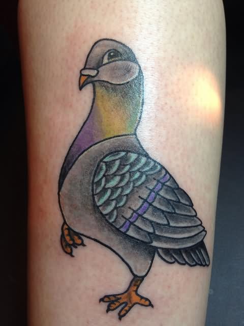 Cute Pigeon Tattoo Design For Arm