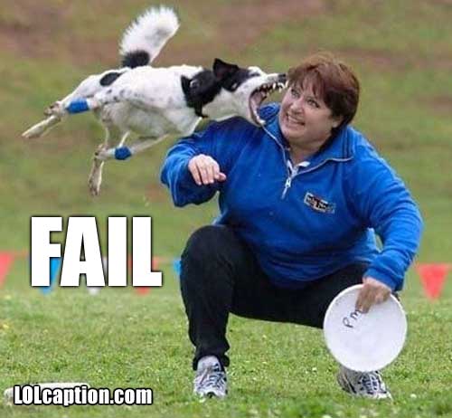 Dog Fail To Bite Funny Image