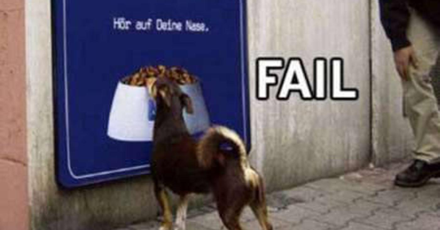 Dog Fail To Eat Funny Image