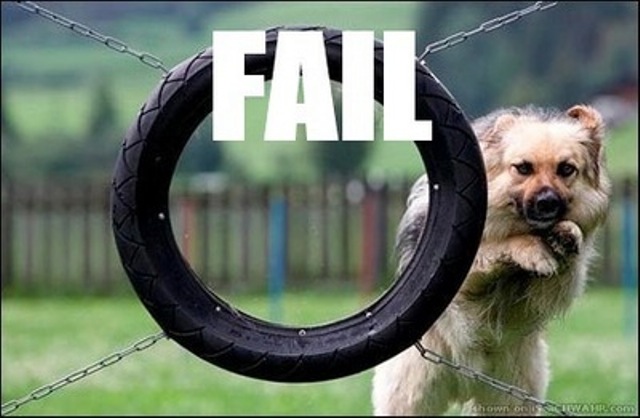 Dog Fail To Jump From Hole Funny Picture