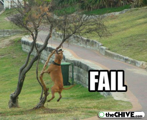 Dog Hanging With Tree Funny Fail Picture