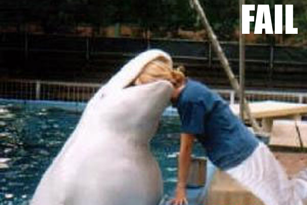 Dolphin Trying To Eat Girl's Head Funny Fail Animal Picture For Facebook