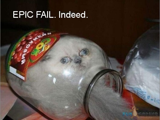 Epic Fail Funny Cat Picture