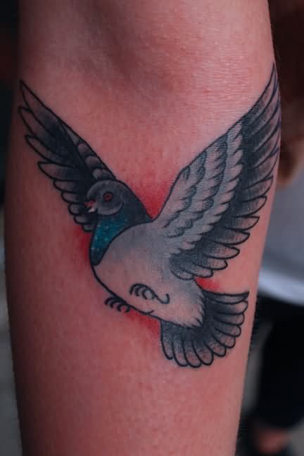 Flying Pigeon Tattoo On Forearm