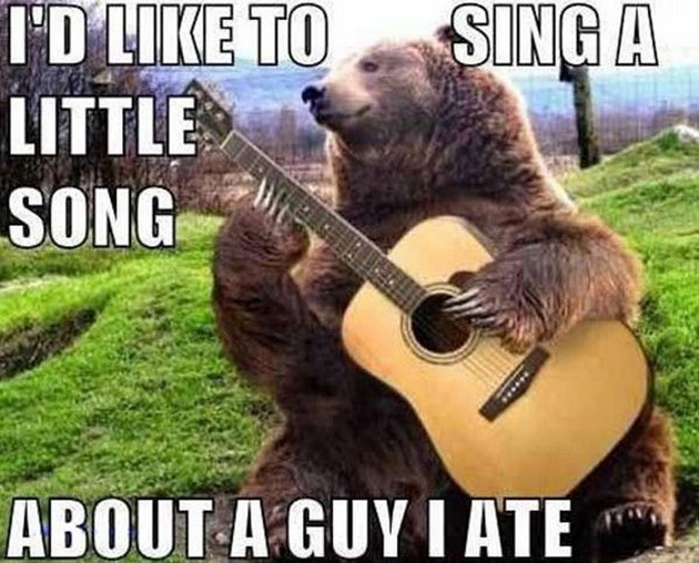 Funny Animal Bear Playing Guitar Meme Image