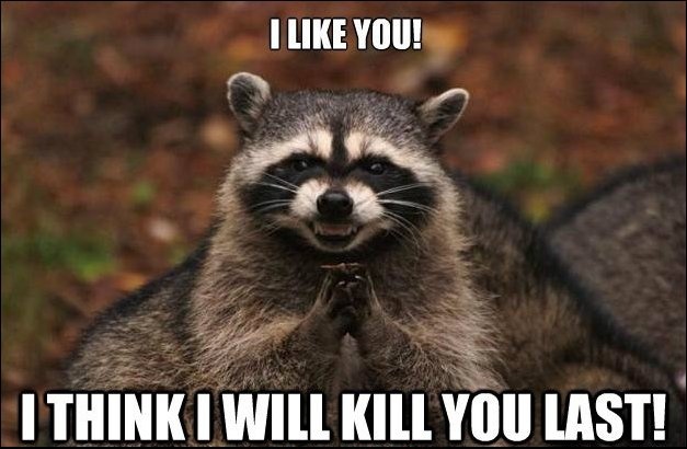 Funny Animal Raccoon Say I Like You I Think I Will Kill You Last Meme Image