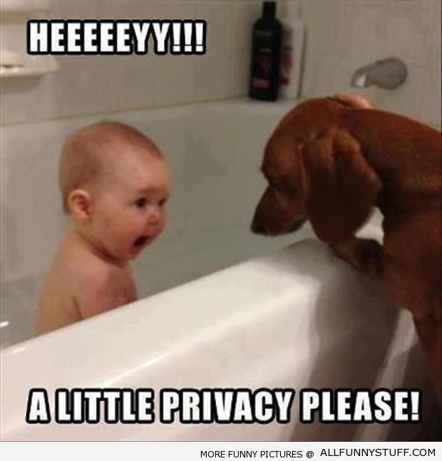 Funny Baby Meme A Little Privacy Please Image
