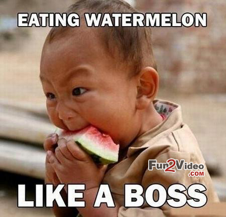 Funny Baby Meme Eating Watermelon Like A Boss Image For Facebook